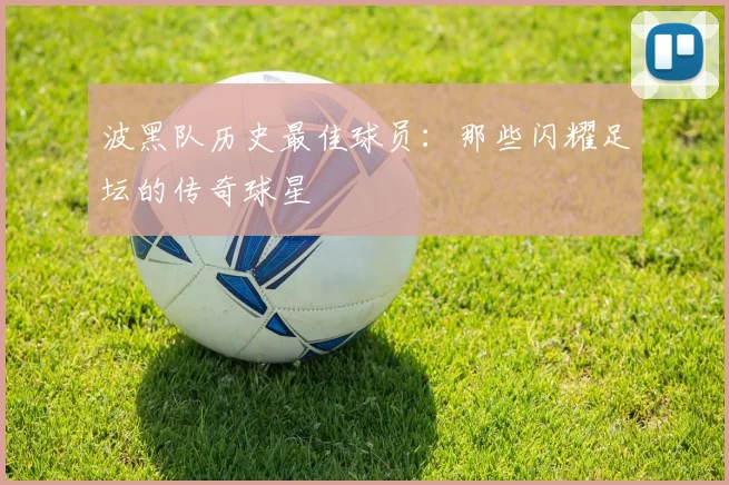 波黑队历史最佳球员:那些闪耀足坛的传奇球星