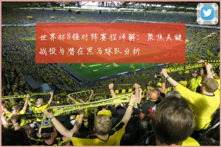 世界杯8强对阵赛程详解：聚焦关键战役与潜在黑马球队分析