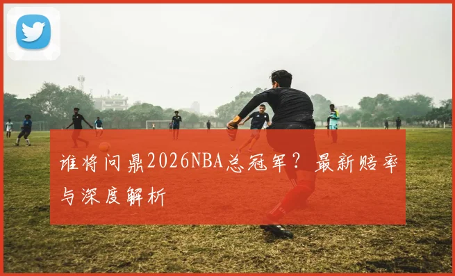 谁将问鼎2026NBA总冠军?最新赔率与深度解析