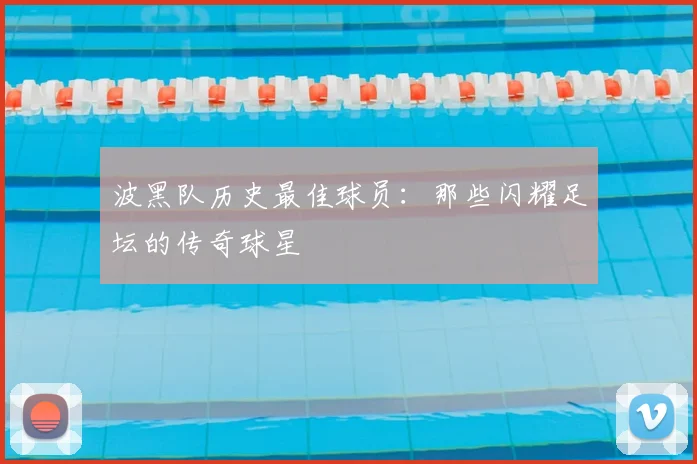 波黑队历史最佳球员：那些闪耀足坛的传奇球星